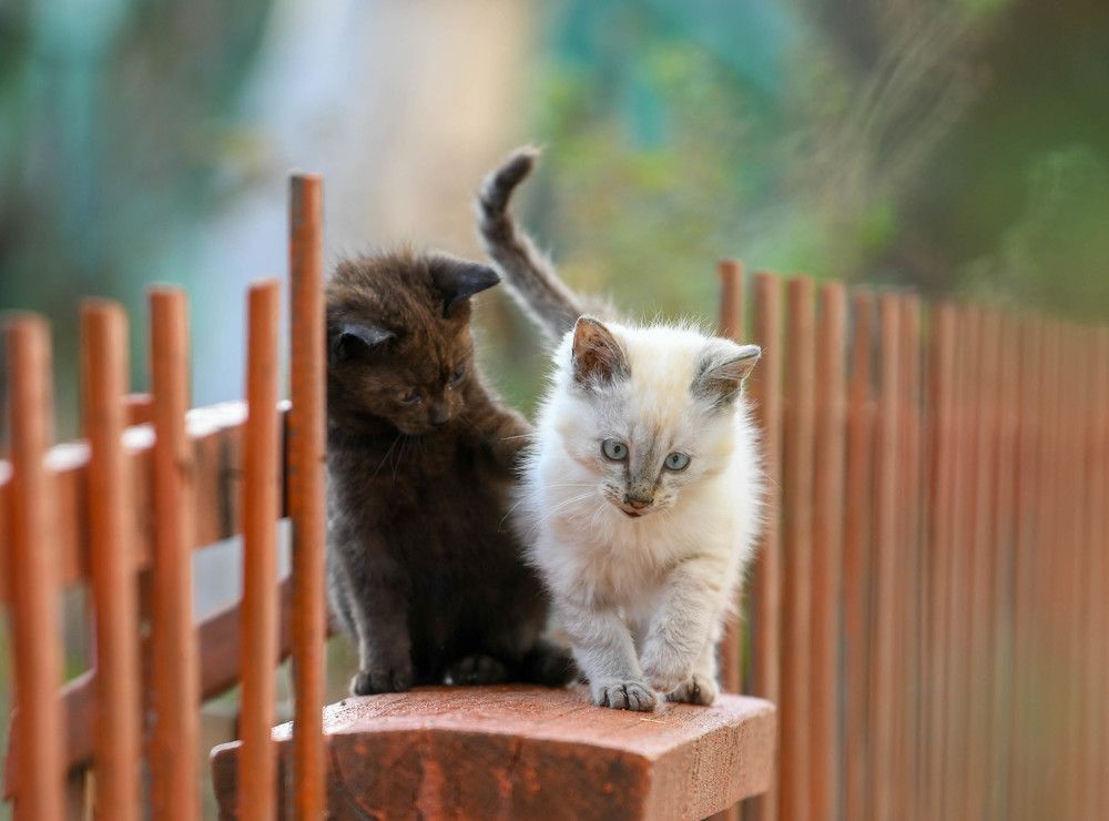 Photograph by Александр Александров