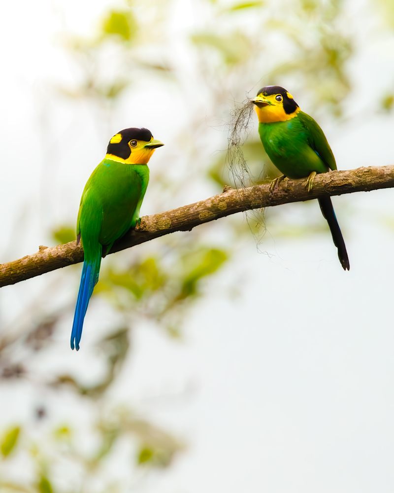 Фотография автора Rajarshi Roy