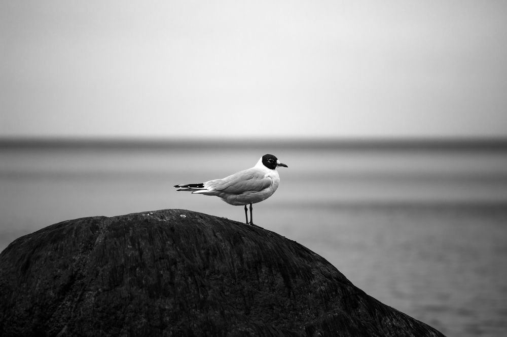 Photograph by Денис Ф