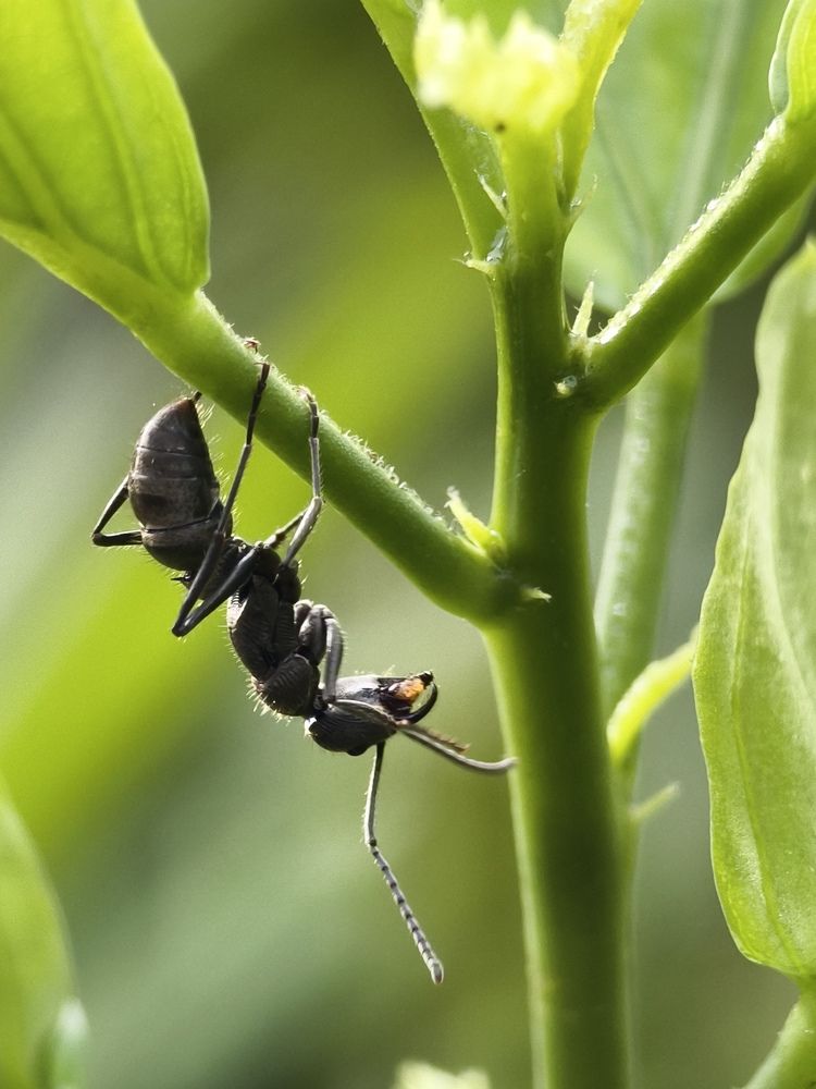 Photograph by Neeraj Anoop