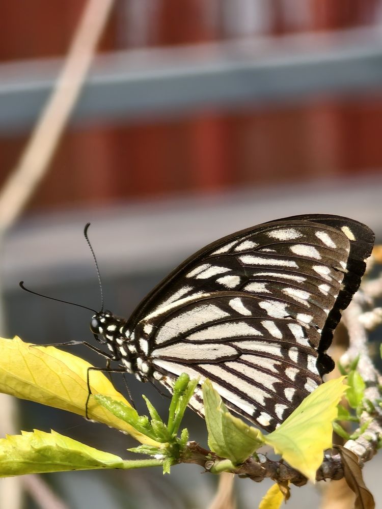 Photograph by Neeraj Anoop