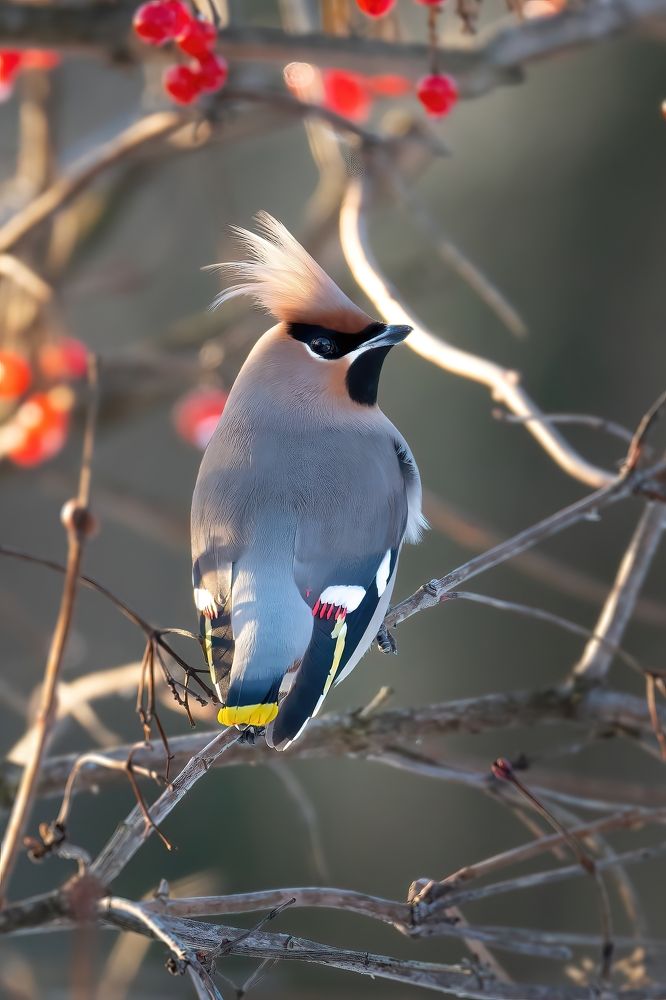 Photograph by Ilya Marchenko
