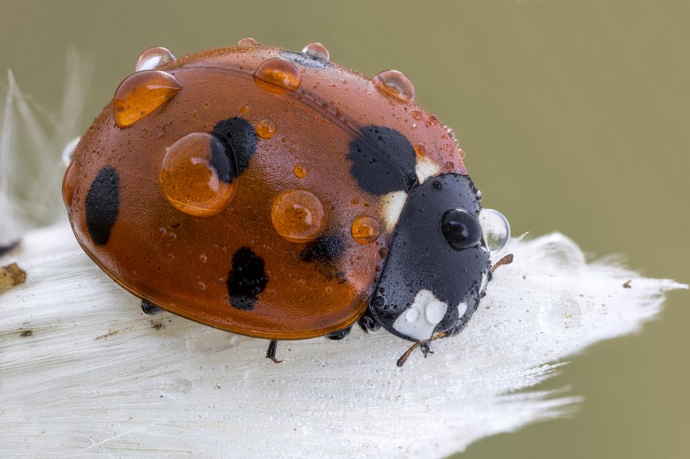 Photograph by BULUR Ozgur Kerem