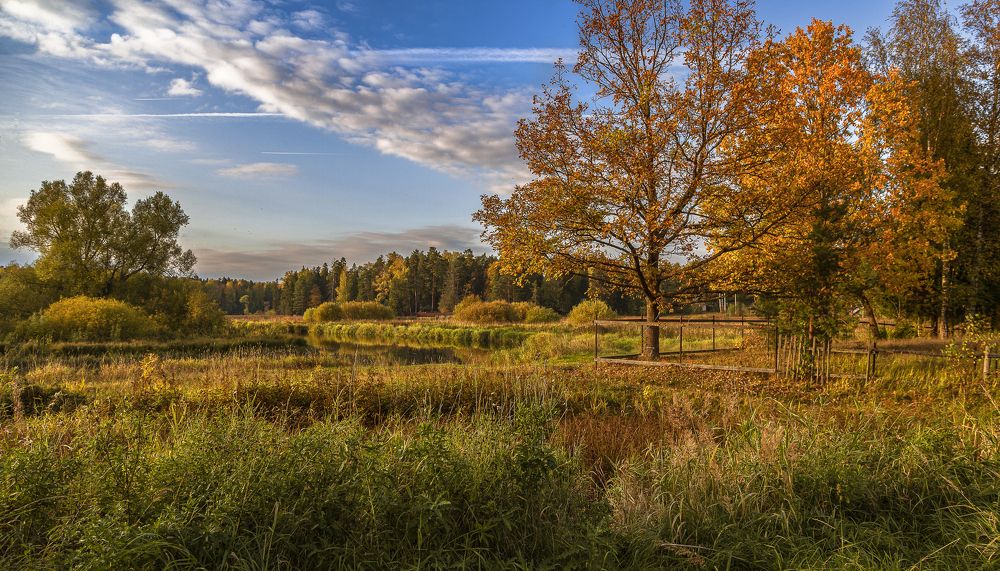 Photograph by Алена Ерошкина