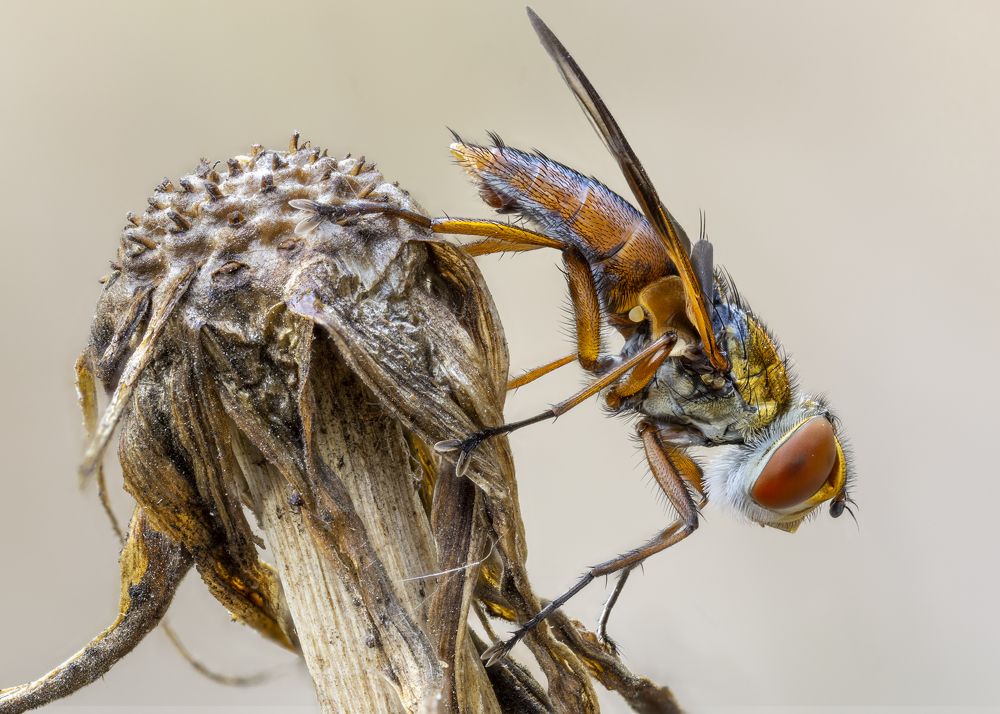 Photograph by BULUR Ozgur Kerem