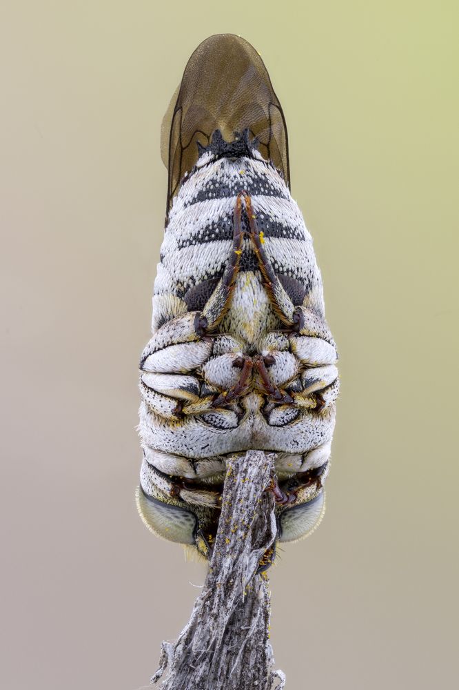 Photograph by BULUR Ozgur Kerem