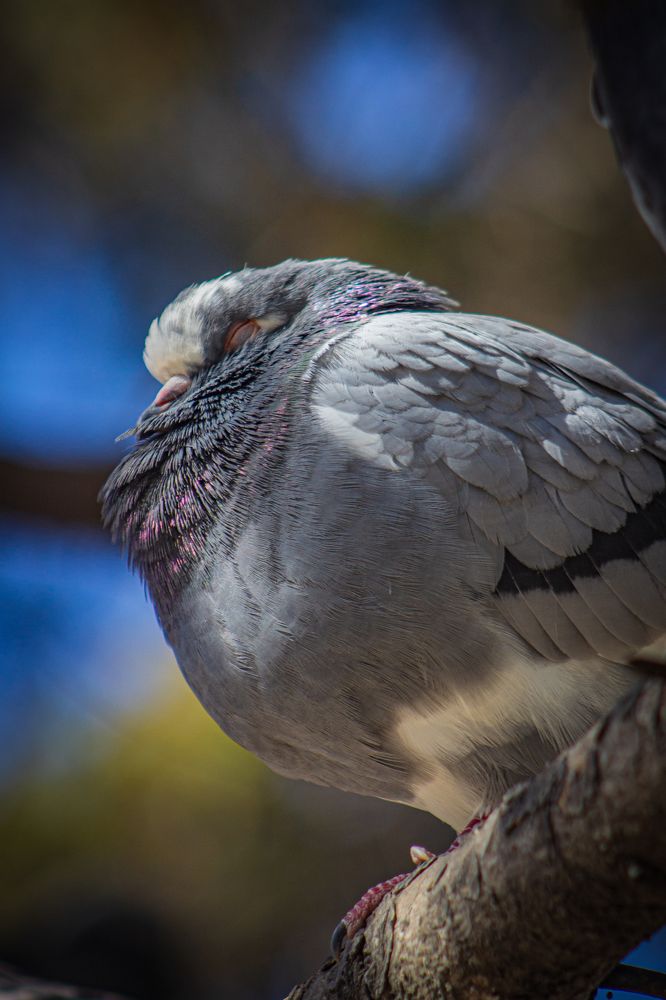 Photograph by Анна Осинцева