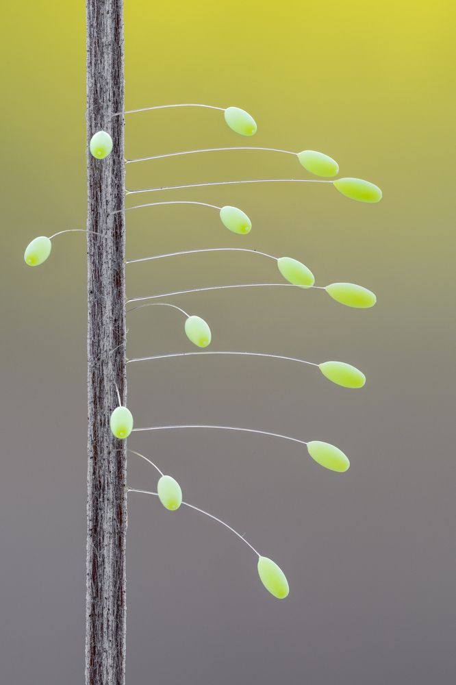 Photograph by BULUR Ozgur Kerem