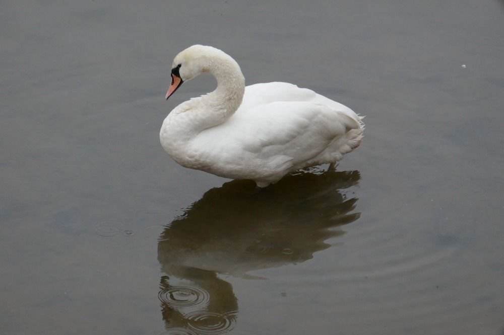 Photograph by Антон