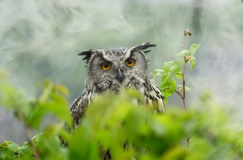 Игра в прятки.