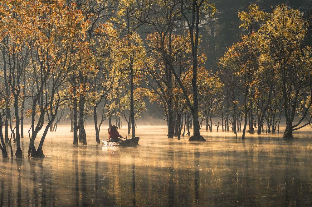 Фотография автора Pham Quynh Nga