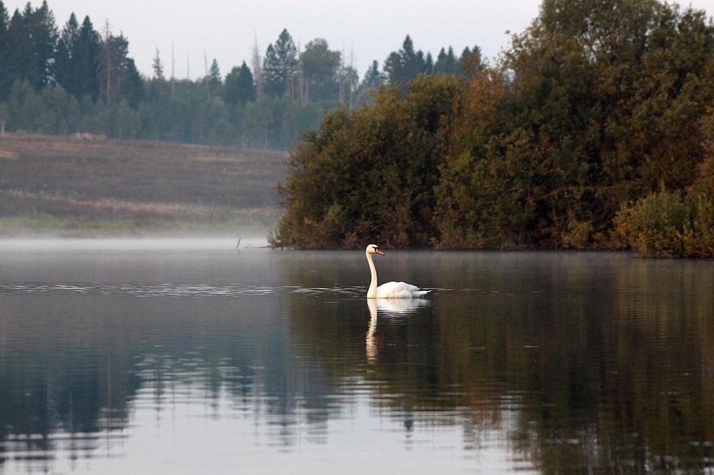 Фотография автора Людмила Иванова