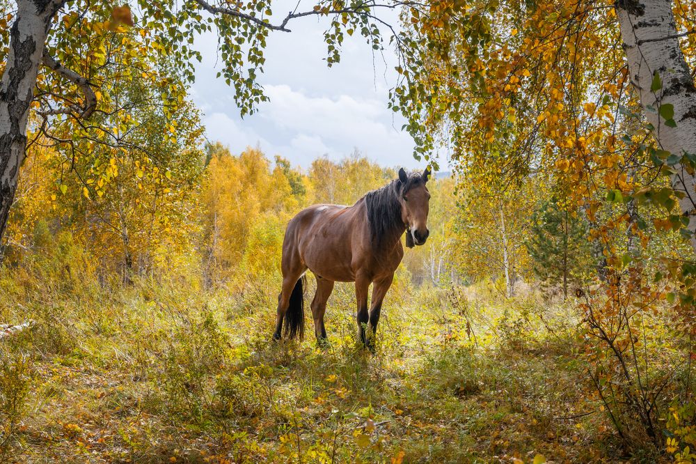 Photograph by Рослов Евгений