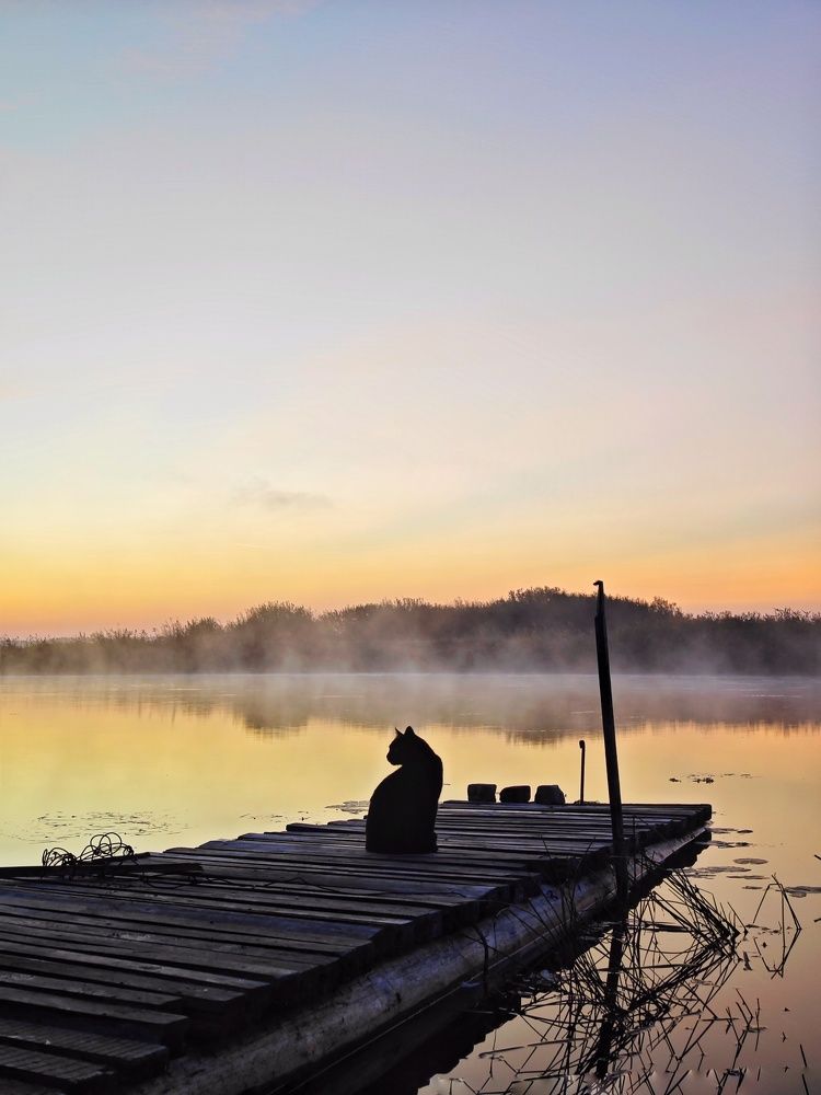 Photograph by Олеся Зеленщикова