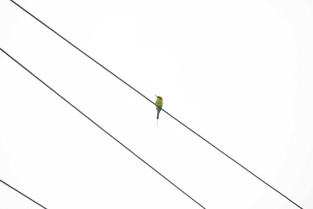 Фотография автора Мукеш Шарма