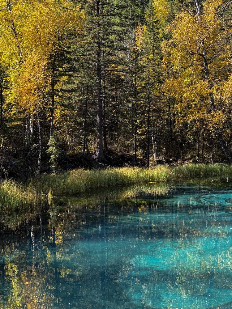 Photograph by Нина Верхотурова