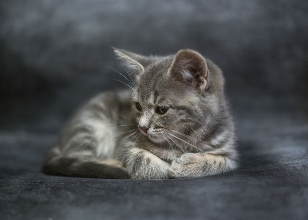 Photograph by Сергей Алексеев