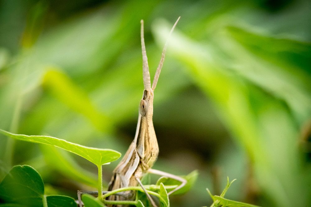 Фотография автора Мария Дмитриева
