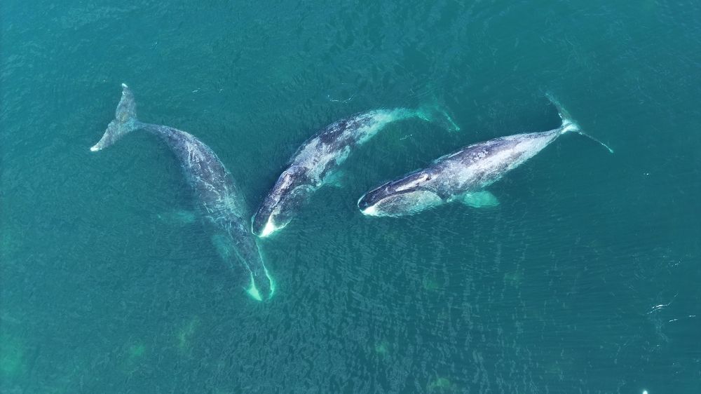 Photograph by Елизавета Веревкина