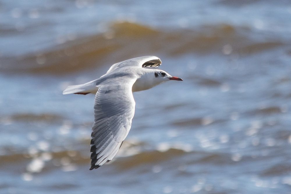 Photograph by Виктор Чернюк