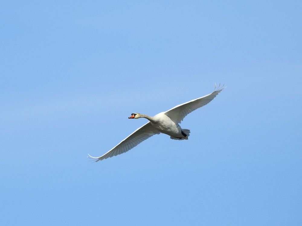 Photograph by Елена Старкова