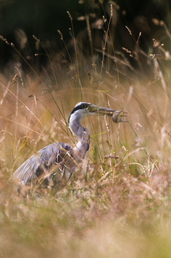 Photograph by Елена Чистова