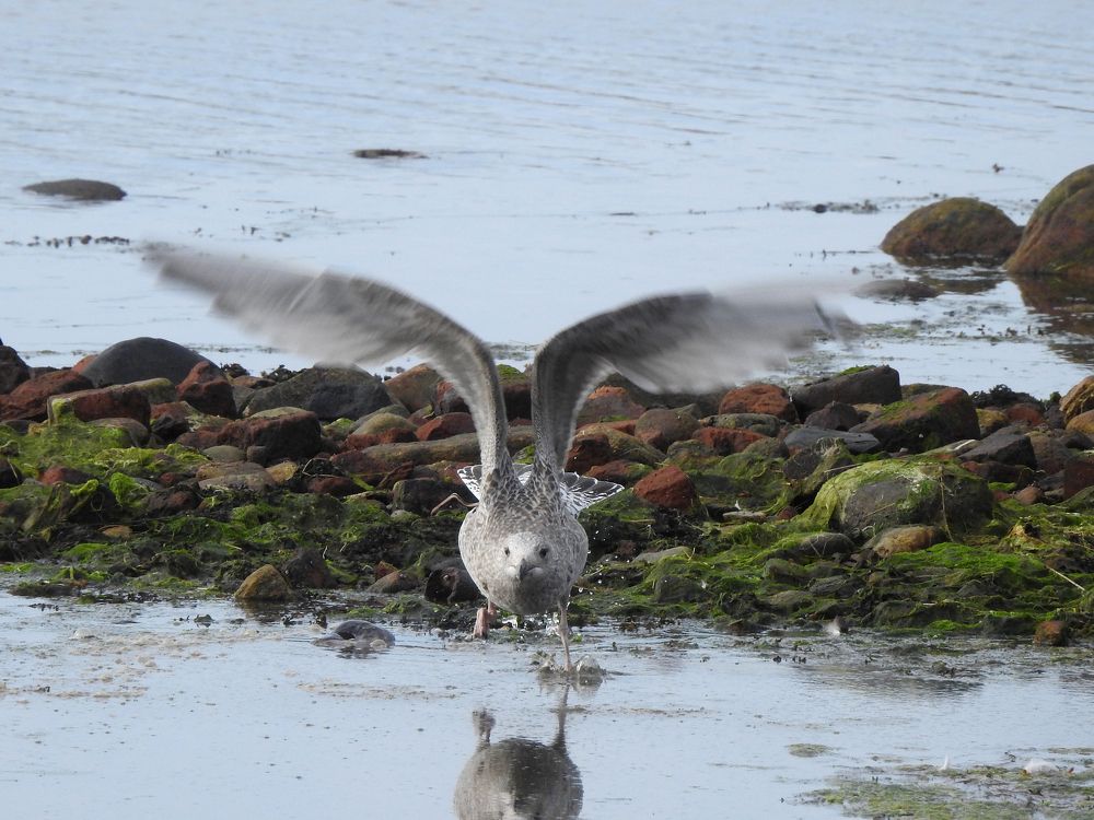 Photograph by Елена Старкова