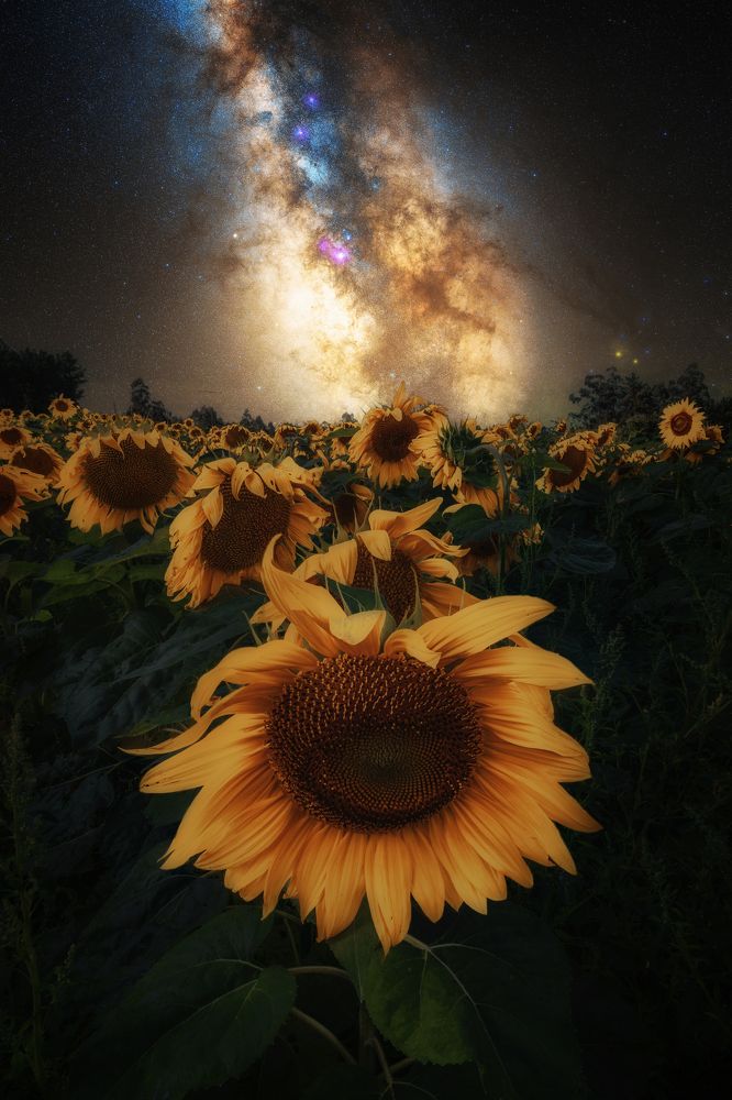 Photograph by Damian Varela