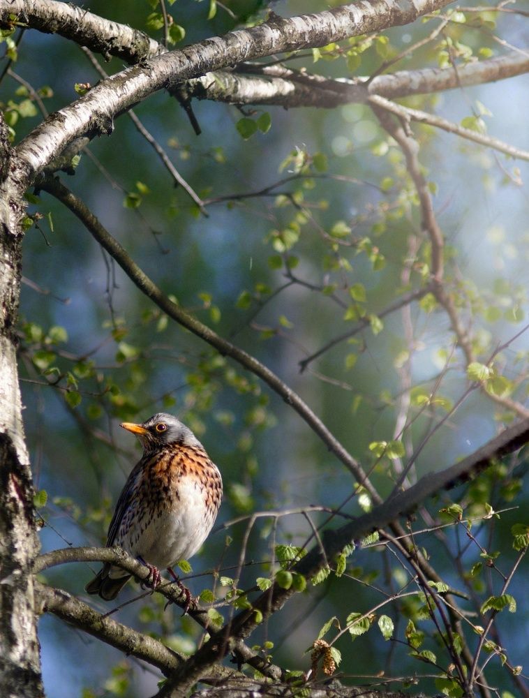 Photograph by Юлия Марфонова