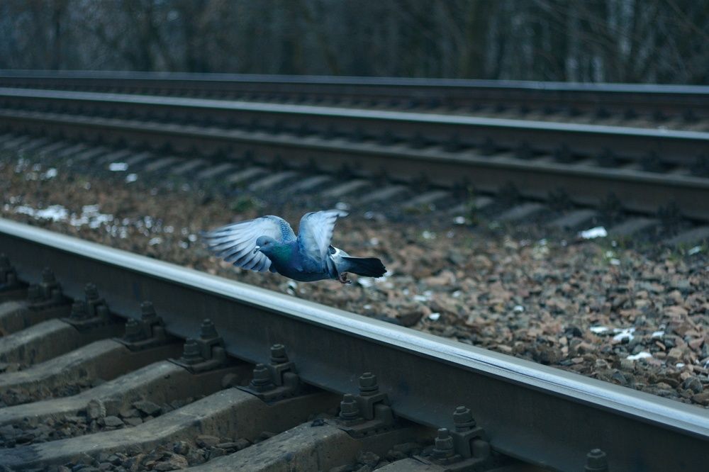 Photograph by Юлия Марфонова