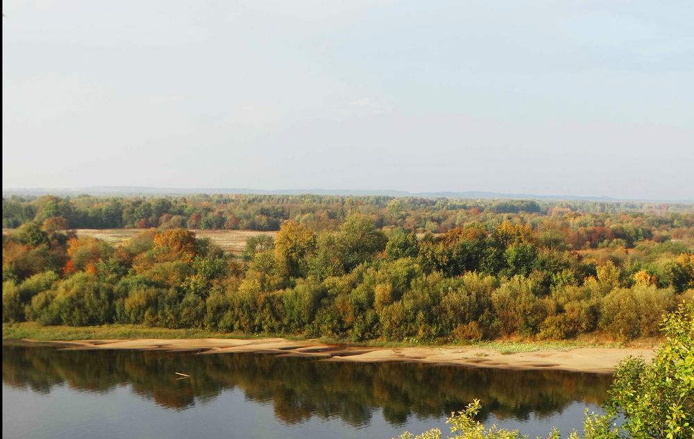 Фотография автора Дмитрий Андреевич