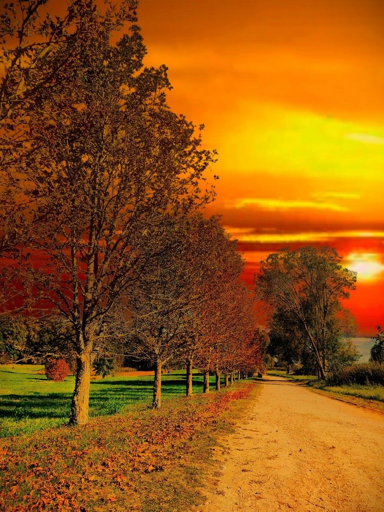 Photograph by Людмила Ваганова