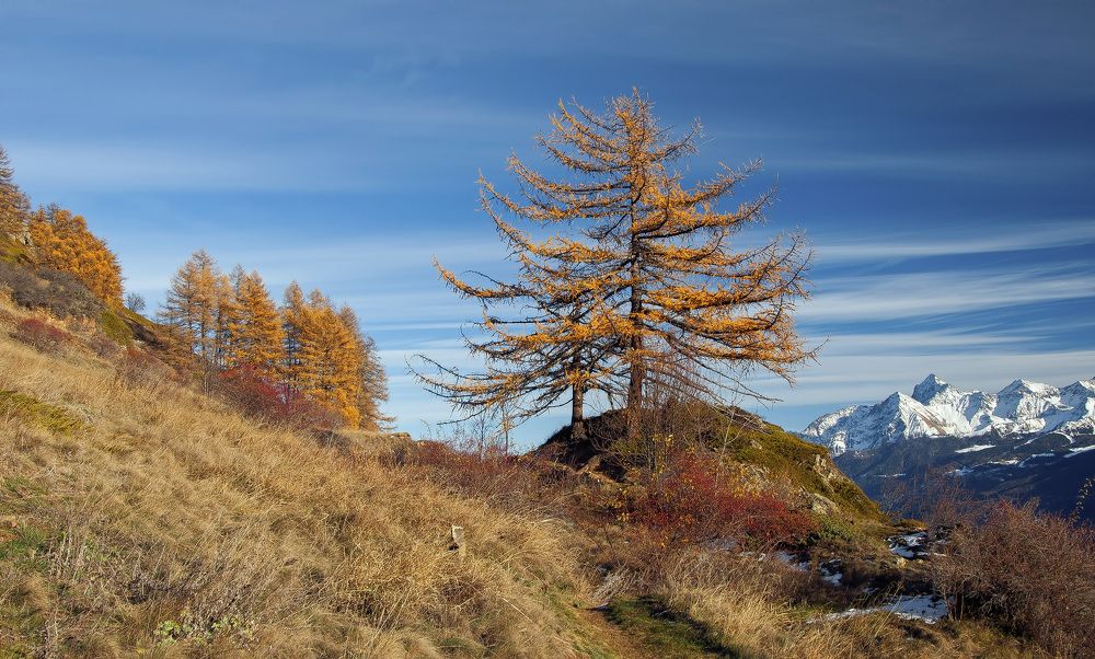 Photograph by Svetlana Rizzo