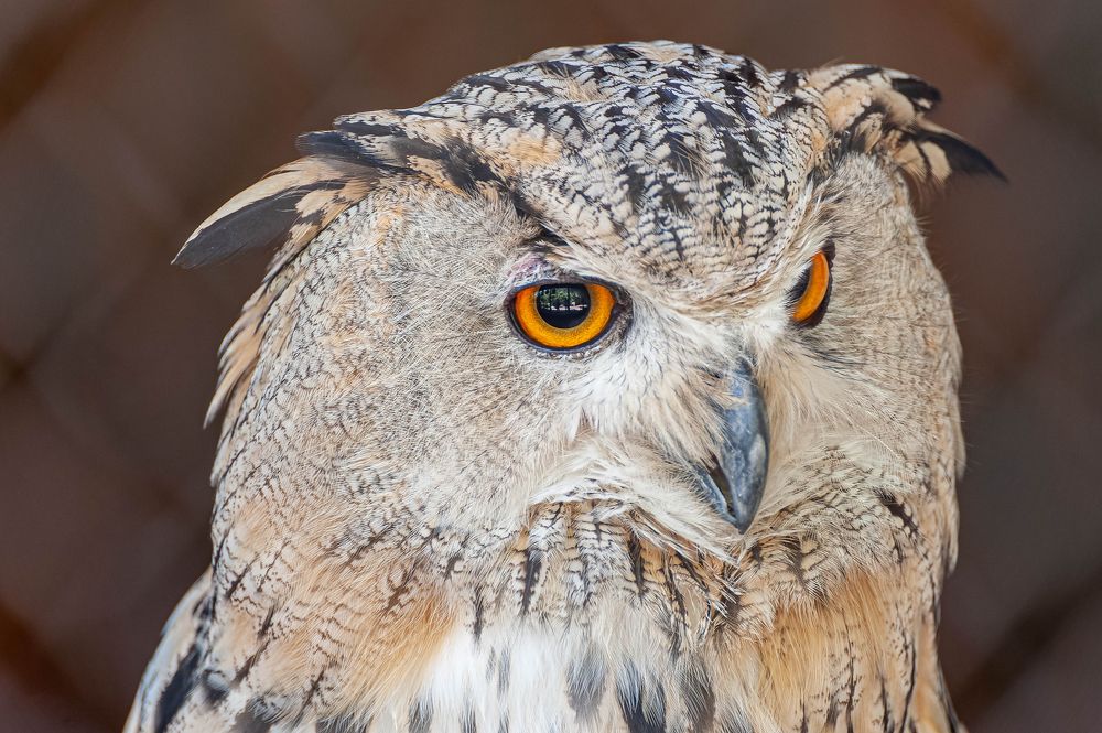 Photograph by Вадим Басов