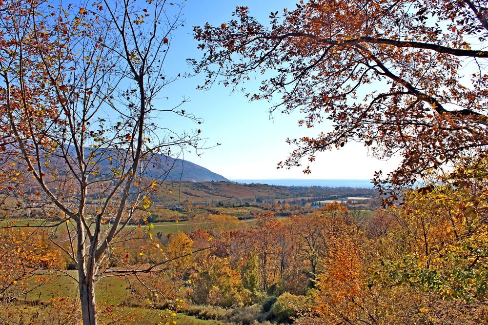 Photograph by Николай Немчанинов