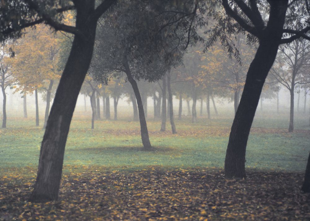 Photograph by Alexander Baron