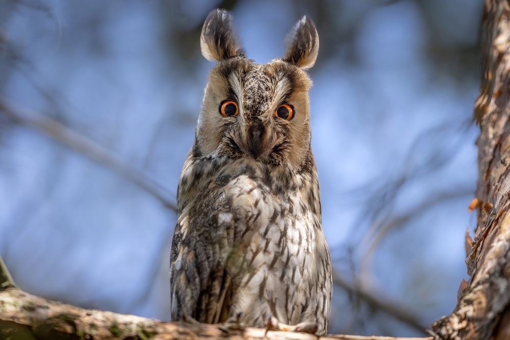 Photograph by Вячеслав Мельников