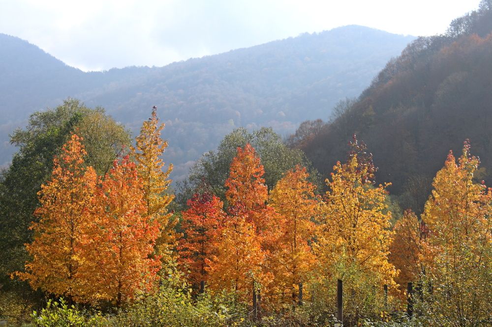 Photograph by Николай Немчанинов