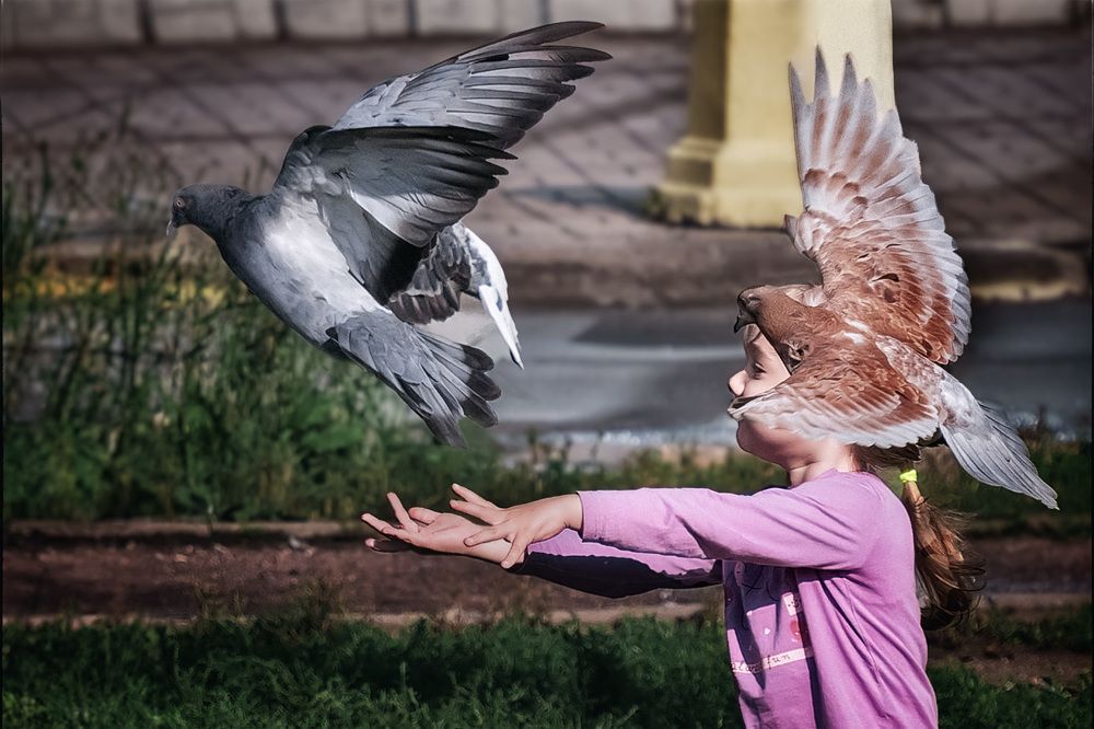 Птицы и девочка-'центурион'