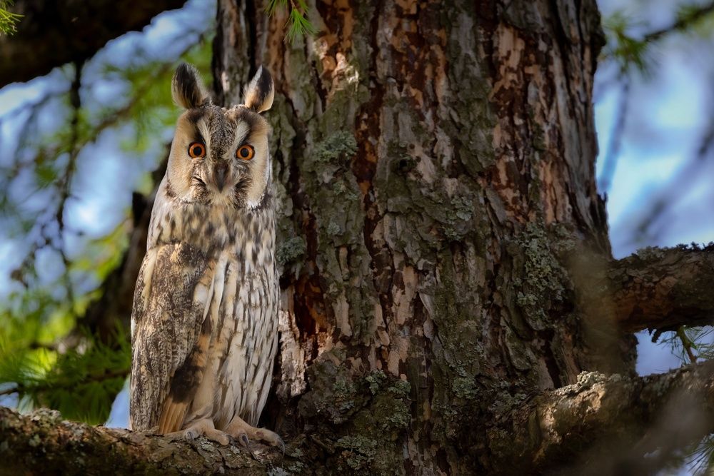 Photograph by Вячеслав Мельников
