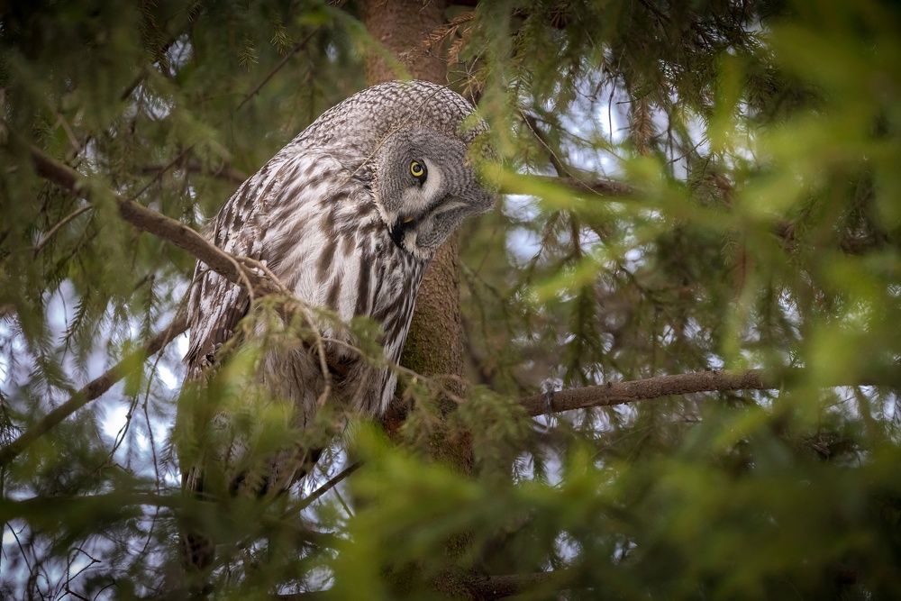 Photograph by Вячеслав Мельников