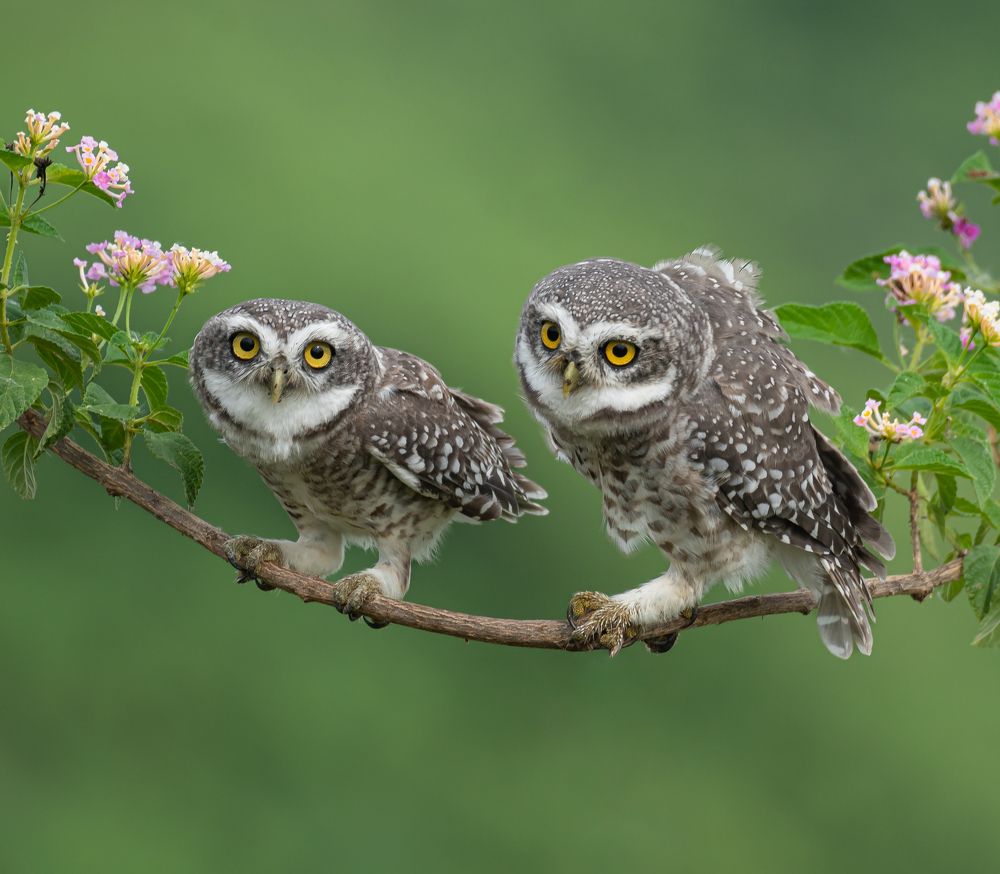 Photograph by Rajiv Mani