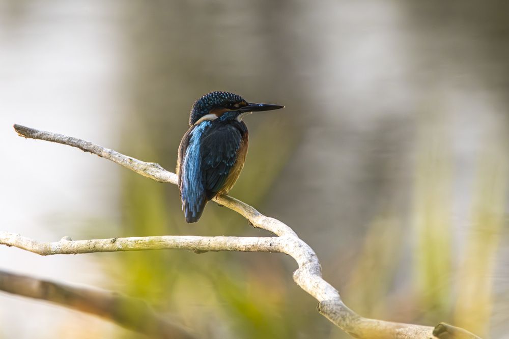 Photograph by Anna Suchcicka