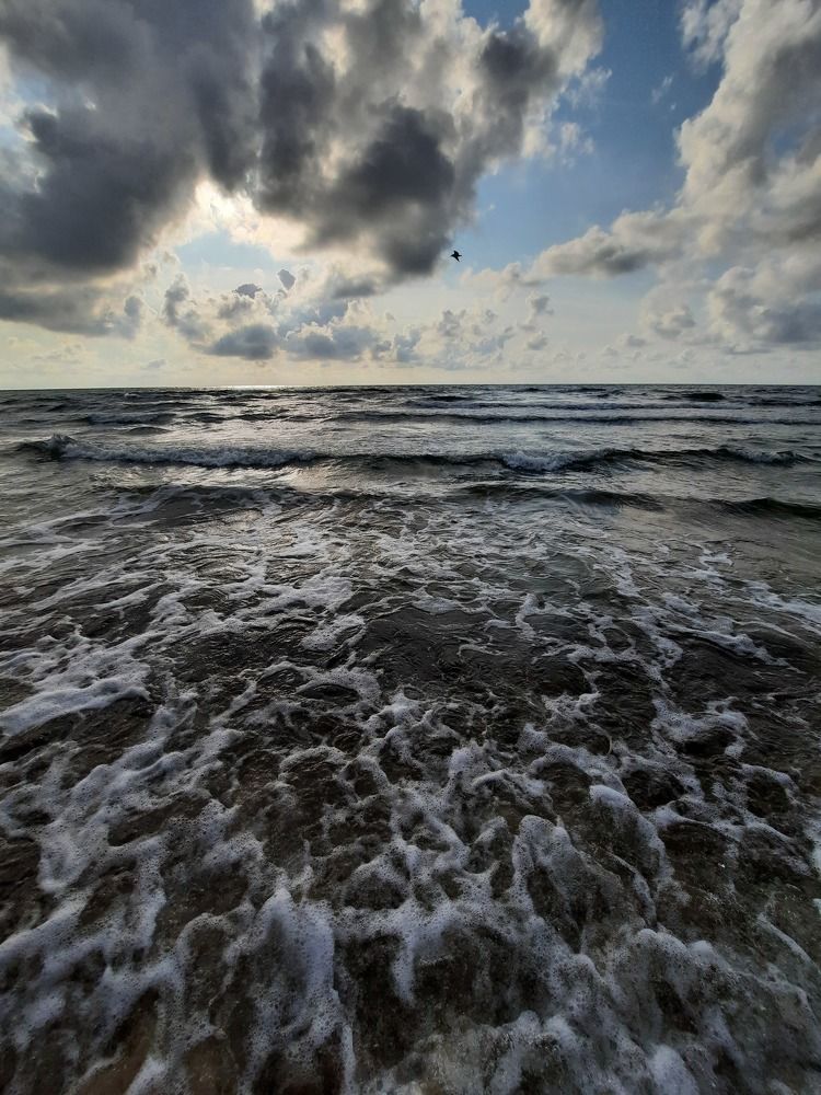 Паланга - моя любовь