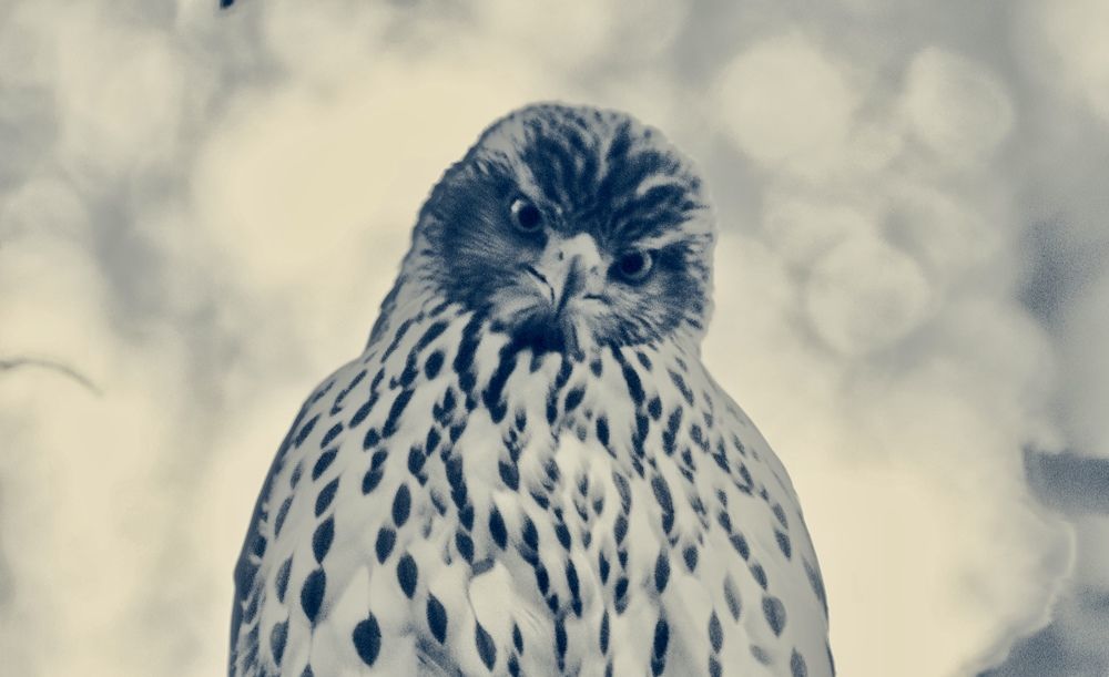 Photograph by Yana Egorova