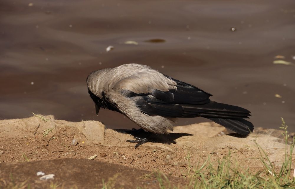 Photograph by Yana Egorova