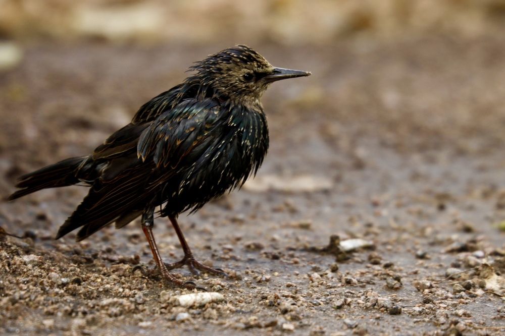 Photograph by Yana Egorova