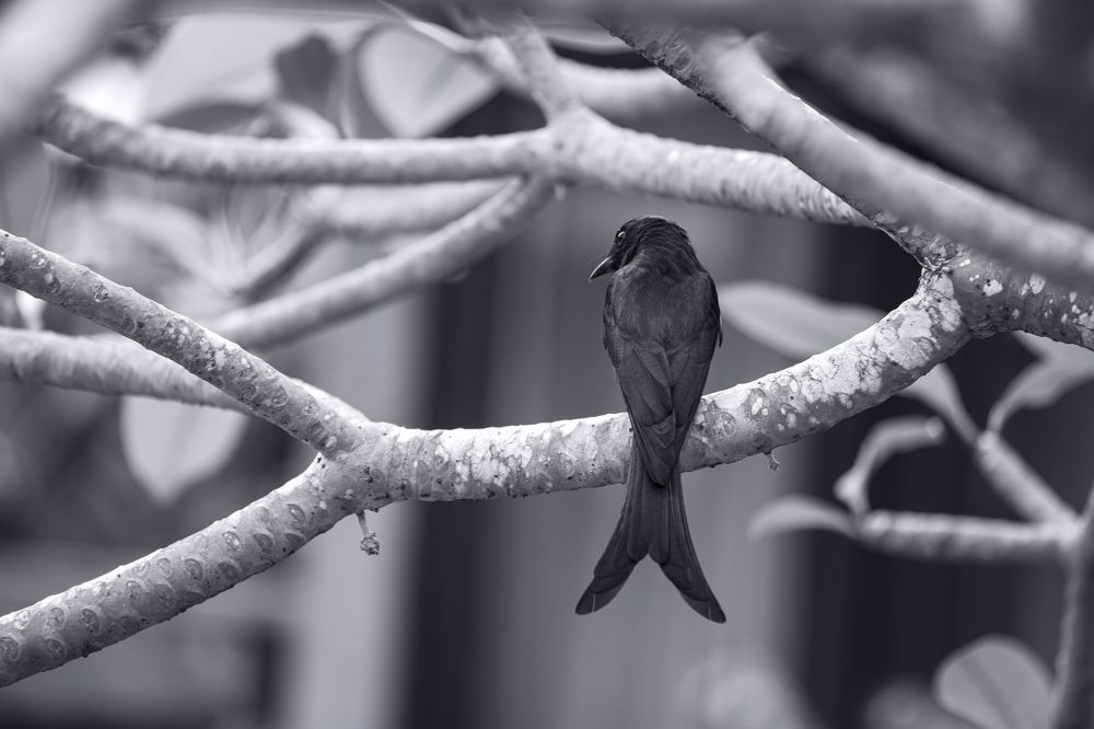 Photograph by Вячеслав Ват