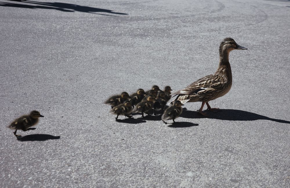 Photograph by Yana Egorova