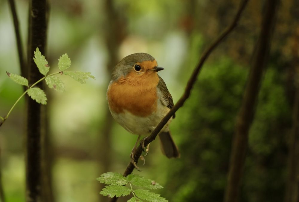 Photograph by Yana Egorova